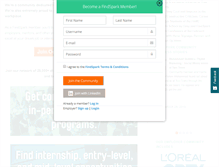 Tablet Screenshot of findspark.com